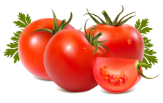 tomato-and-kidney-stone-everyday-life-23
